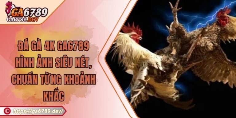Đá Gà 4K GA6789 – Hình Ảnh Siêu Nét, Chuẩn Từng Khoảnh Khắc