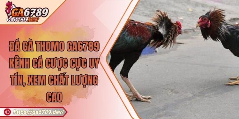 Đá Gà Thomo GA6789 – Kênh Cá Cược Cực Uy tín, Xem Chất Lượng Cao