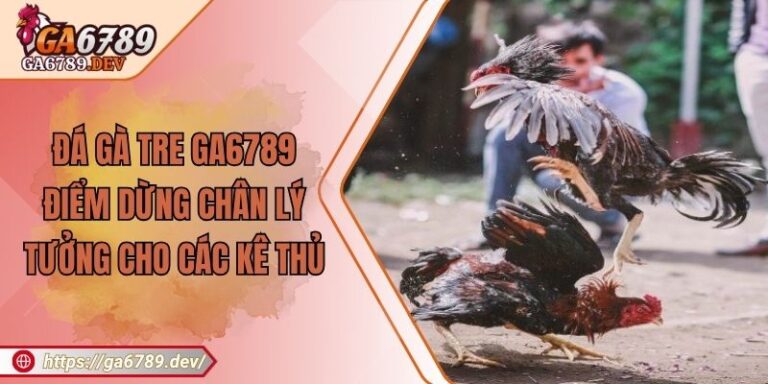 Đá Gà Tre GA6789 – Điểm Dừng Chân Lý Tưởng Cho Các Kê Thủ
