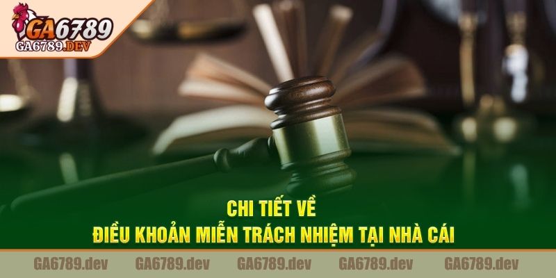 Miễn Trừ Trách Nhiệm 3 Miễn trừ trách nhiệm GA6789 cập nhật định kỳ